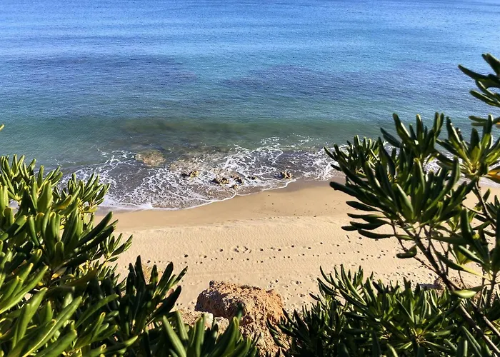 Rentalmar Horizon *